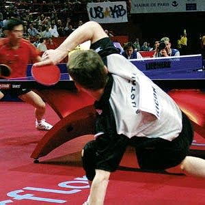 TARAFLEX TABLE TENNIS