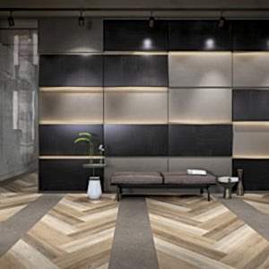 CREATION 55 [INSIGHT]