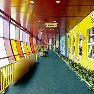 TARKETT LINOLYUM Veneto xf²™ Bfl (2.5 mm) 